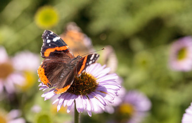 Similar image 13105953