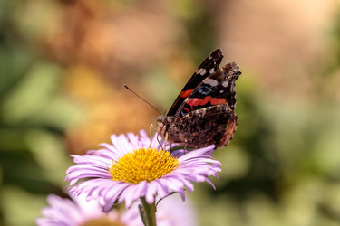 Similar image 13105864