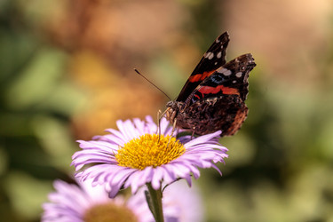 Similar image 13105955