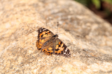 Similar image 13105957