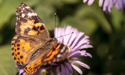 Similar image 13105990