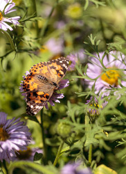 Similar image 13105992