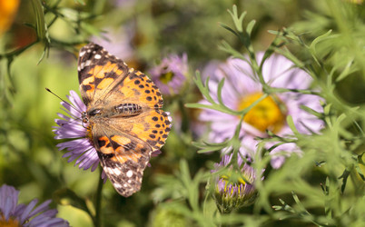 Similar image 13105993