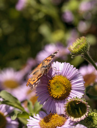 Similar image 13106009