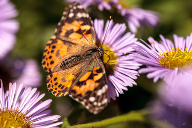 Similar image 13106010