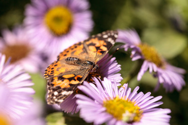 Similar image 13105869