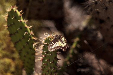 Similar image 13105870