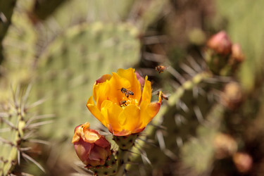 Similar image 13106013