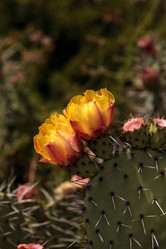 Similar image 13106014