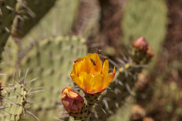 Similar image 13106015