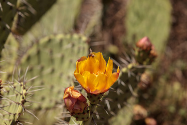 Similar image 13106017