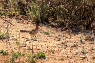 Similar image 13105873