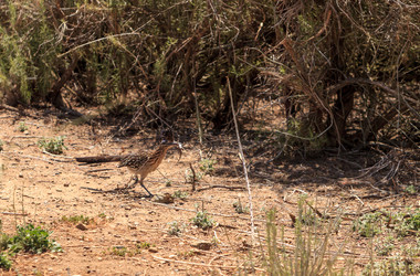 Similar image 13105874