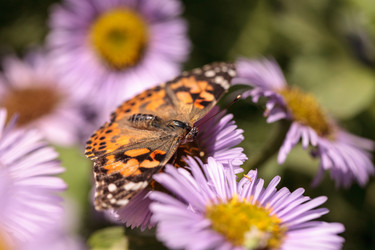 Similar image 13105875