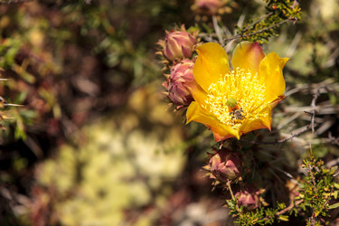 Similar image 13106029