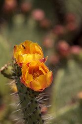 Similar image 13105876