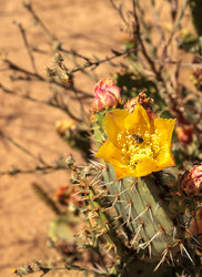 Similar image 13105882