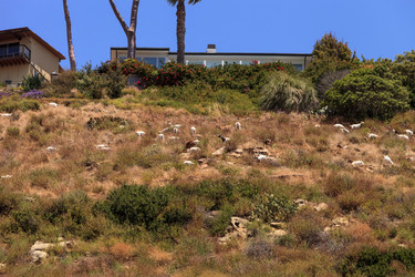 Similar image 13105884