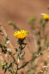 Similar image 13105886