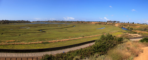 Similar image 13106065