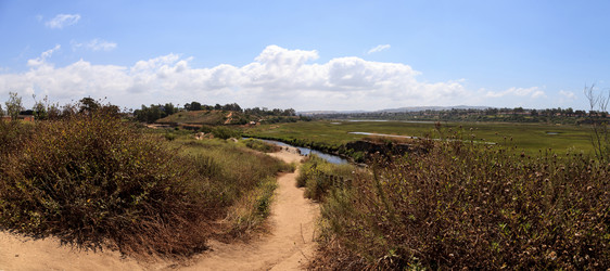 Similar image 13106072