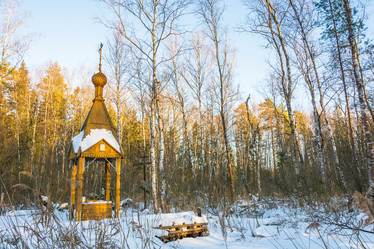 Similar image 13097222