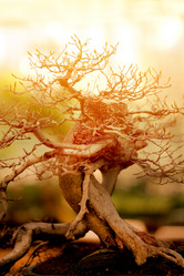 Similar image 13078285