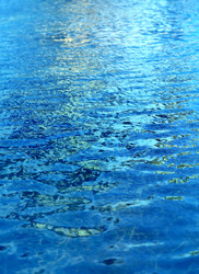 Similar image 13078289