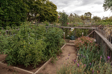 Similar image 13105894