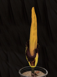 Similar image 13105916