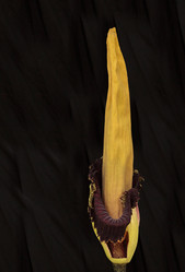 Similar image 13105918