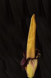 Similar image 13105919