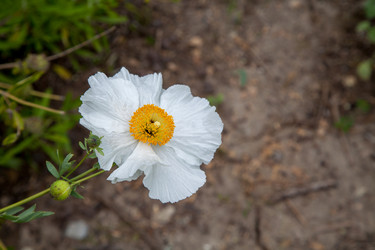 Similar image 13105922