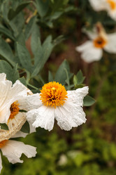 Similar image 13105936