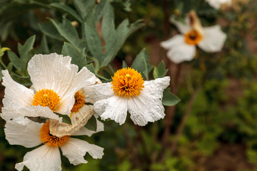 Similar image 13105937