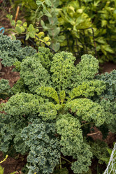 Similar image 13105939