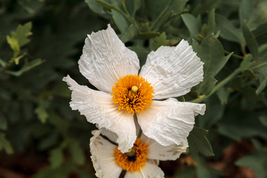 Similar image 13105940