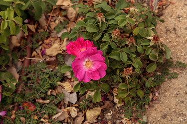 Similar image 13105941