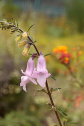 Similar image 13105942