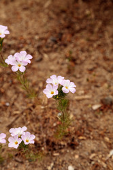 Similar image 13105975