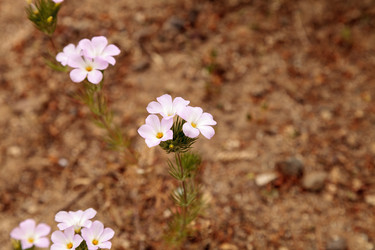 Similar image 13105976