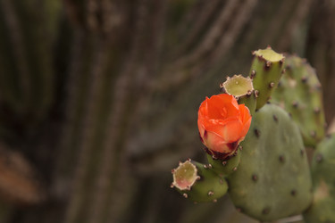 Similar image 13105979