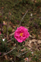 Similar image 13105980