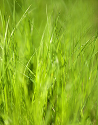 Similar image 13078293