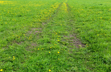 Similar image 13078294