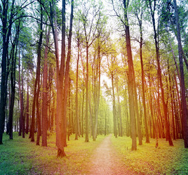 Similar image 13078297