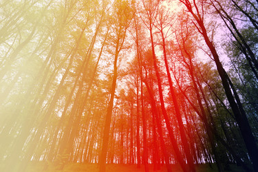 Similar image 13078298