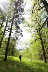 Similar image 13078299