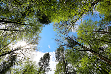 Similar image 13078300