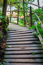 Similar image 13066088